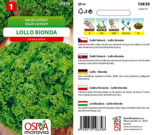Salát listový LOLLO BIONDA_0,5 g