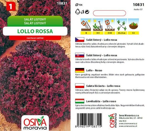 Salt listov LOLLO ROSSA erv. okraj_0,5 g