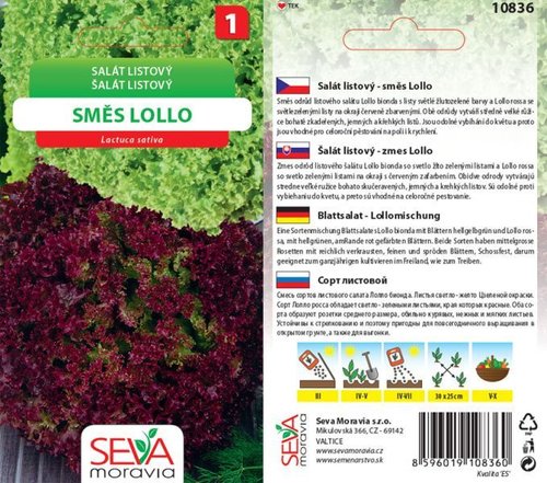 Salát listový směs Lollo_0,5 g