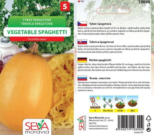 Tykev špagetová VEGETABLE SPAGHETTI žl._2,5 g