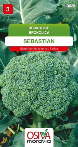 Brokolice SEBASTIAN_0,6 g