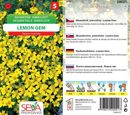 Aksamitník jemn. Lemon gem žlutá_0,2 g