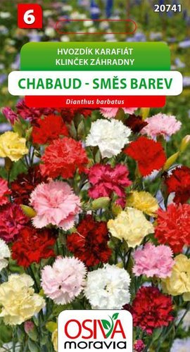 Hvozdík karafiát Chabaud směs_0,5 g