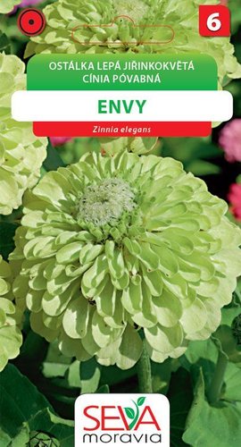 Ostálka jiřinkokvětá Envy zelená_1 g