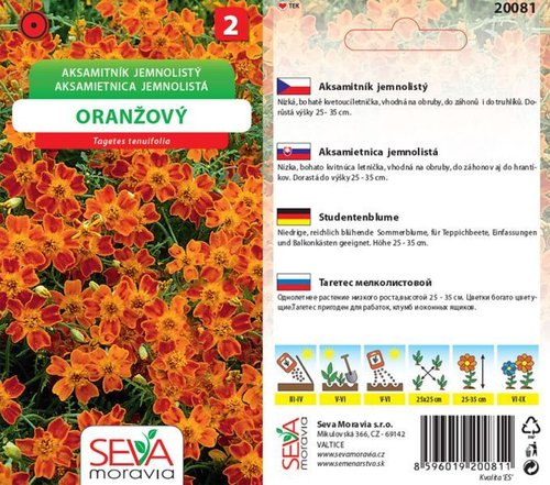 Aksamitník rozkl. oranž. oranžový_0,7g