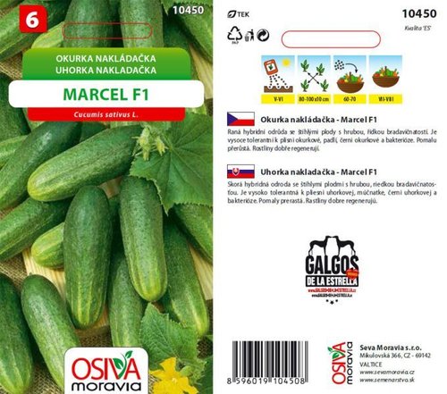 Okurka nakl. hrub. ran. MARCEL F1_1,2 g