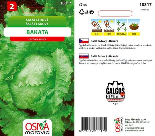 Salát hlávk. ledový BAKATA_0,5 g