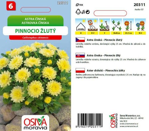 Astra č. - Pinnocio Dwarf žlutý_0,3 g