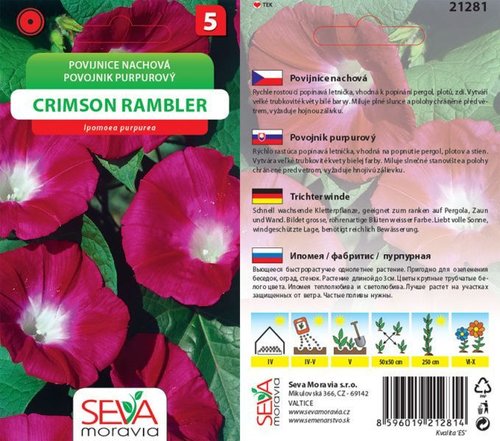 Povíjnice nachová Crimson Rambler_3 g